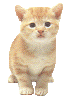 =...hledám.gif